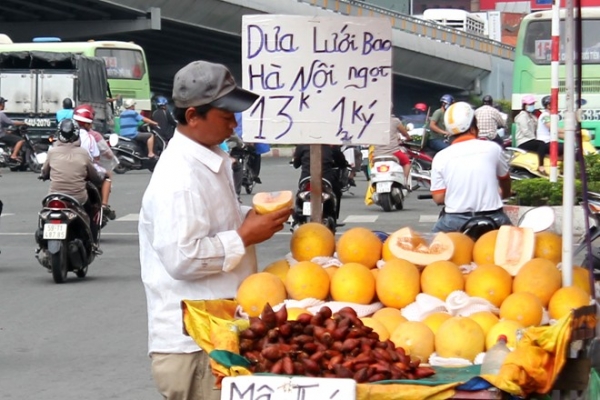 ... thế nhưng dưa lưới vàng bán ở Sài Gòn lại được quảng cáo là dưa Hà Nội.