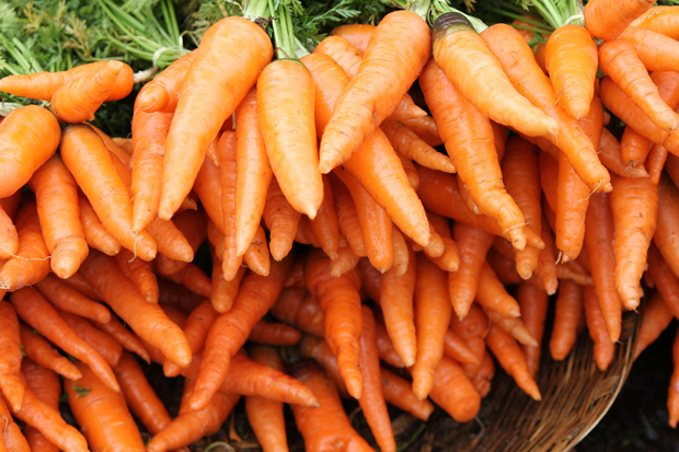 Bạn chỉ hấp thụ được vitamin A khi cà rốt được nấu chín.