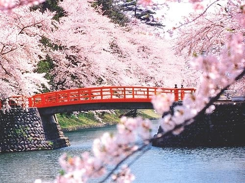 Du khách nên tránh du lịch Nhật Bản vào tháng 6 vì là mùa mưa.