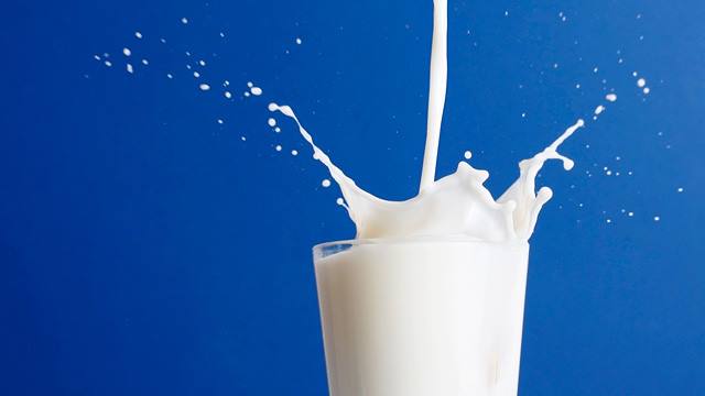 Trẻ dưới 1 tuổi không nên sử dụng sữa tươi.