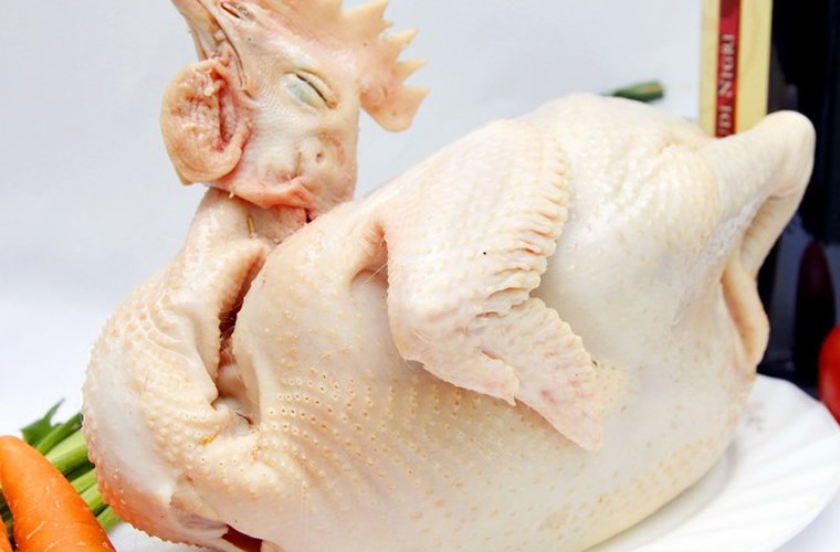 Thịt gà ngon có màu vàng tự nhiên, da khô, không phai màu.