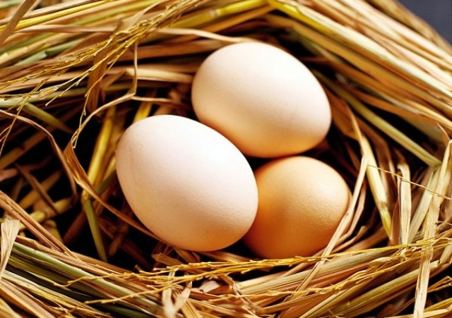 Bảo quản trứng ở nhiệt độ phòng ở nơi khô, thoáng.