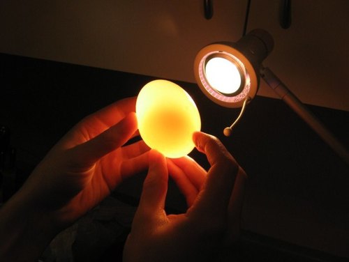Có thể dùng phương pháp soi trứng trước ánh sáng để nhận biết trứng cũ hoặc mới.