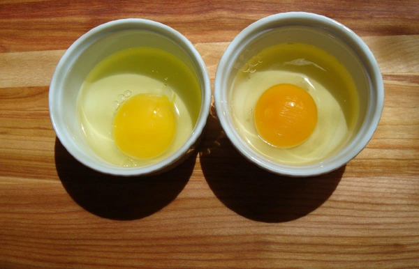 Trứng cũ (bên trái) lòng đỏ xẹp xuống và nhạt màu. Trứng mới (bên phải) lòng đỏ vồng cao và có màu sẫm.