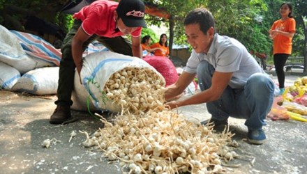 Hành tỏi Lý Sơn đang được bán đổ đống ở Hà Nội.
