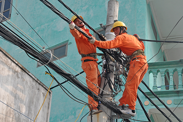 Ảnh: Hoa Việt Cường