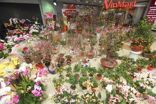 Khu vực trưng bày hoa Tết nằm ở khu vực trung tâm siêu thị, được trang trí bắt mắt thu hút khách hàng.