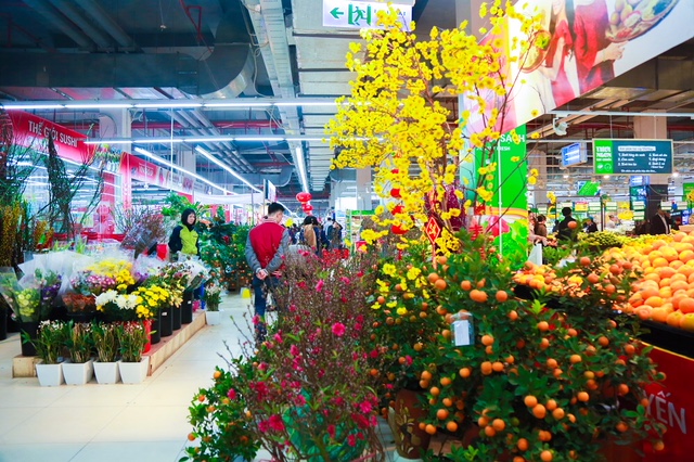 Chợ hoa Tết trong VinMart giúp khách hàng tiện lợi gấp đôi khi vừa dễ dàng mua thực phẩm Tết tươi ngon & an toàn, vừa thoải mái lựa chọn cây cảnh trưng Tết.