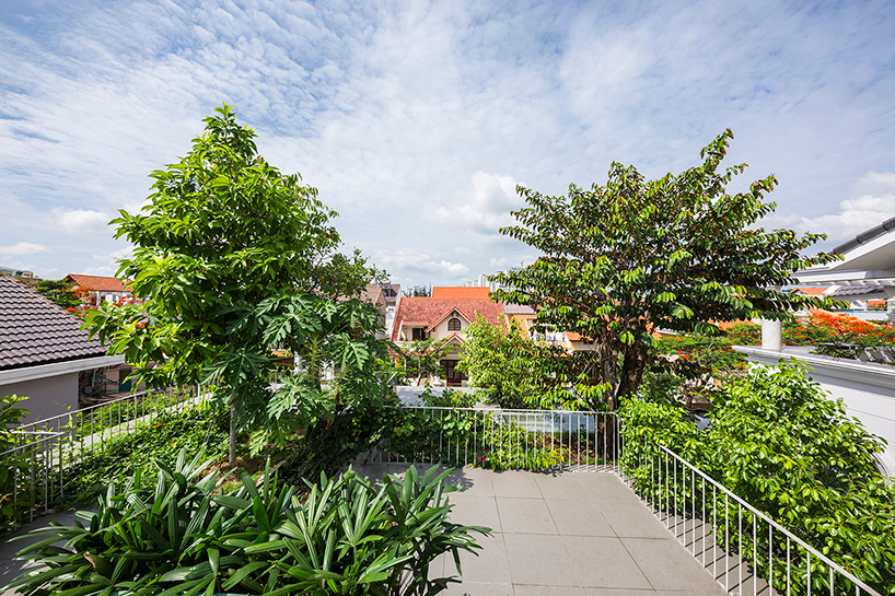 Vườn cây trên sân thượng của ngôi nhà mở ra tầm nhìn rộng ra khu dân cư xung quanh