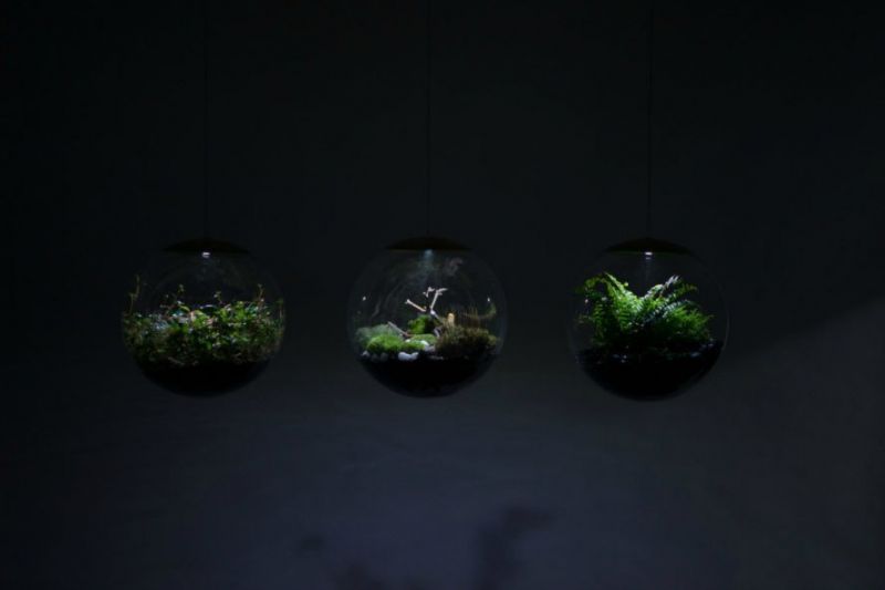Bằng cách sử dụng những quả cầu thủy tinh được tích hợp khả năg phát sáng nhờ các bóng đèn LED, người dùng có thể hiện thực hóa mong muốn có được một khu vườn của riêng mình trong nhà