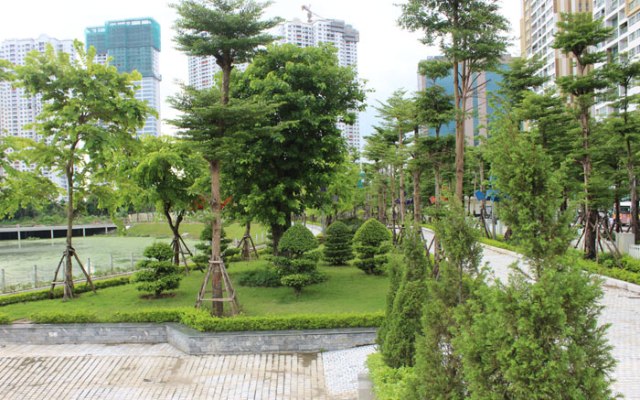 Một góc cây xanh của Công viên hồ điều hòa Nhân Chính hiện tại.