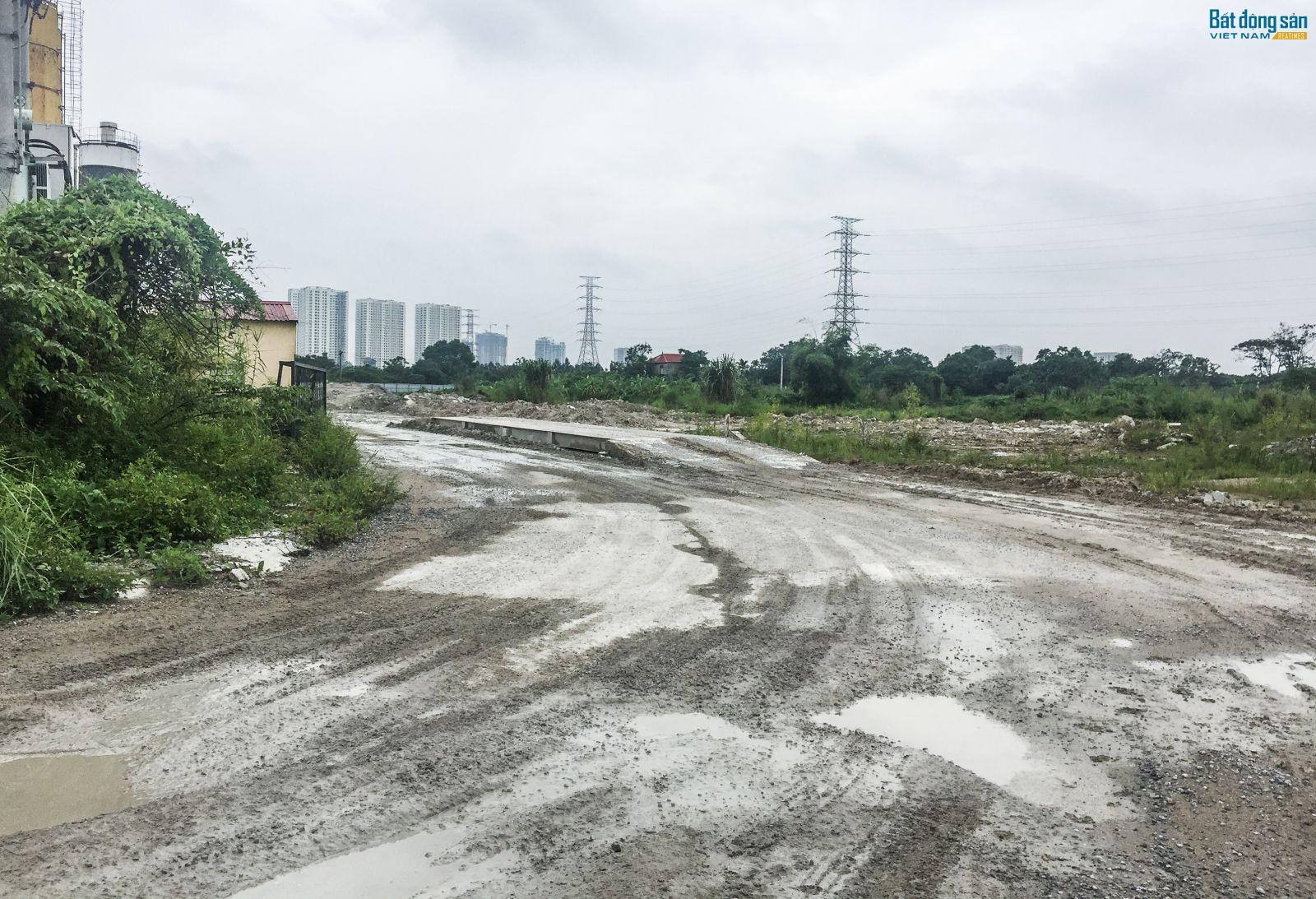 Đến nay, sau hơn 1 thập kỳ, dự án Khu đô thị mới Thịnh Liệt vẫn chỉ là bãi đất trống mọc đầy cỏ dại.
