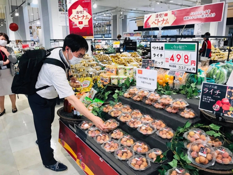 Nông sản xuất khẩu sang Nhật bản nhất thiết phải tuân thủ các quy định về tiêu chuẩn (Ảnh minh họa)