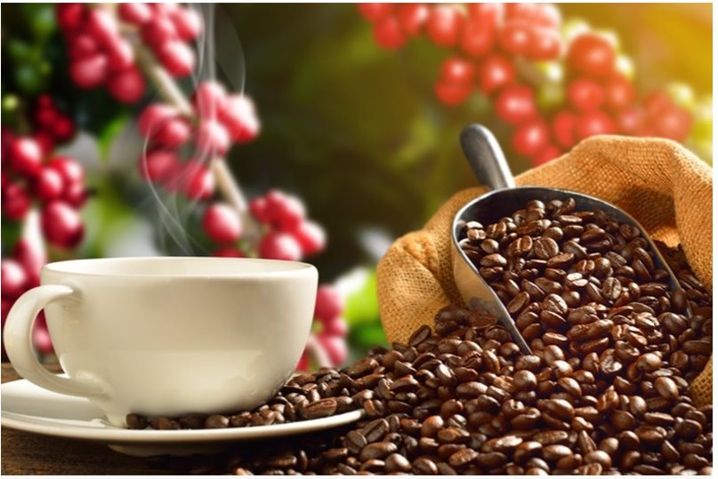 Xuất khẩu cà phê tăng mạnh 5 tháng đầu năm