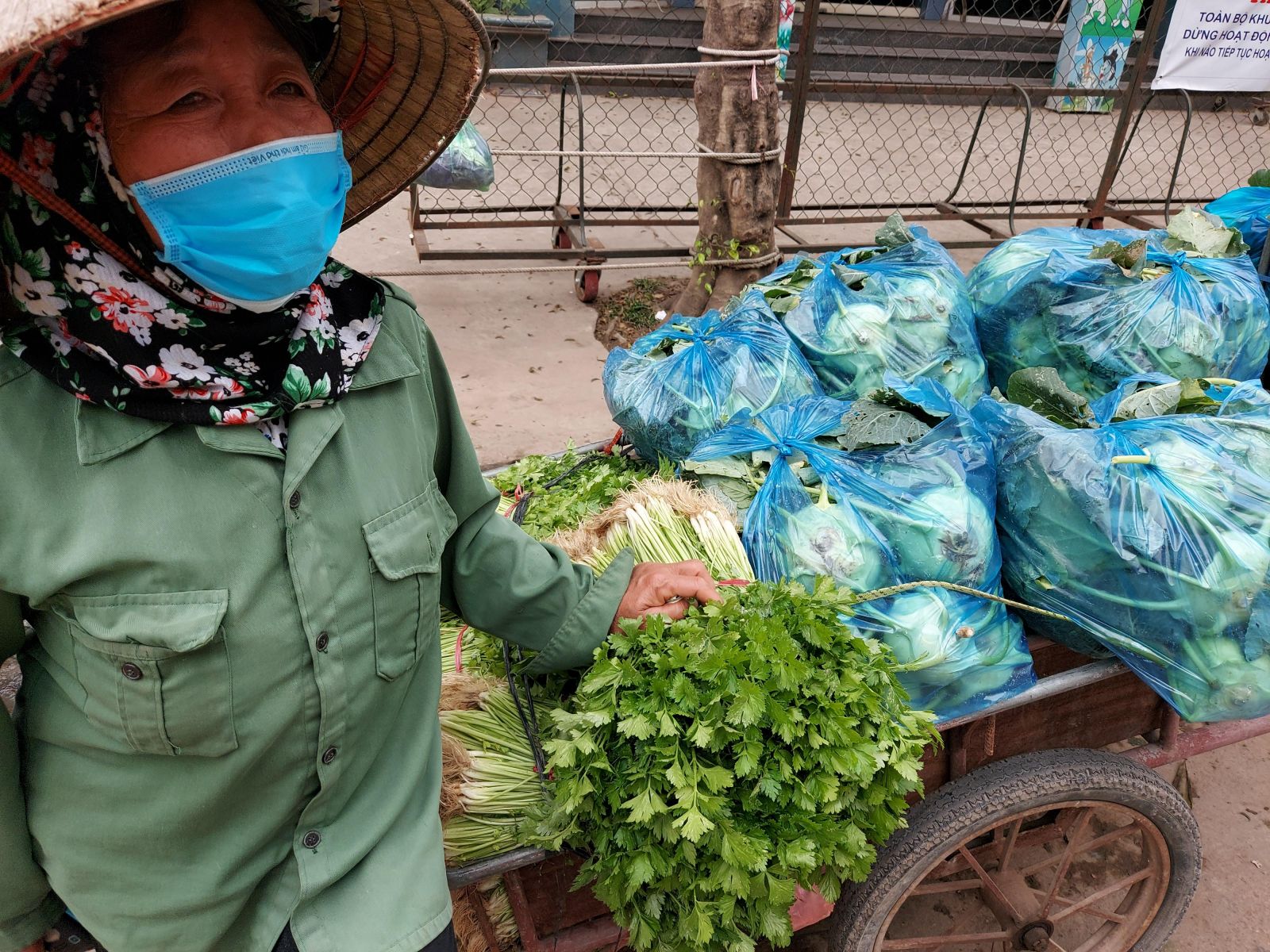 Người nông dân huyện Mê Linh (Hà Nội) thất vọng bên xe rau không ai mua dù giá chỉ 1000đ/kg (Tháng 2/2021)