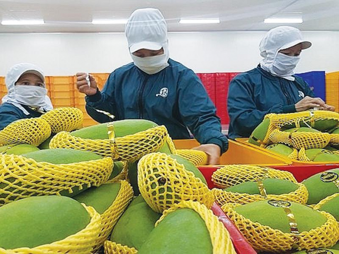 Trong 10 tháng của năm 2021, lại trở thành thị trường xuất khẩu nông sản sang Việt Nam lớn nhất đạt gần 3,3 tỷ USD, chiếm 9,2% thị phần.