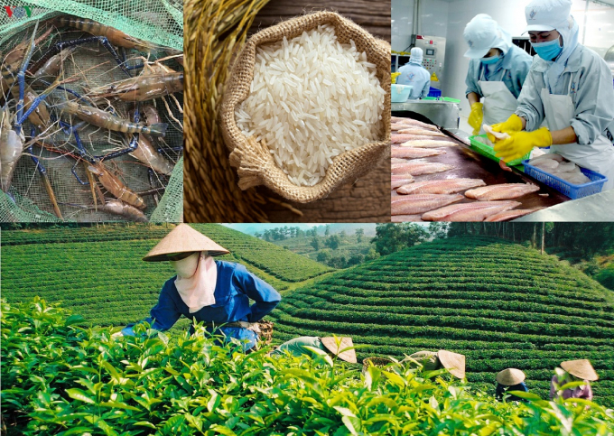Nông sản Việt thăng hạng trên trường quốc tế.