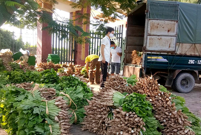 Các cấp Hội Nông dân trên địa bàn huyện Hoài Đức chung tay giúp người nông dân tiêu thụ nông sản