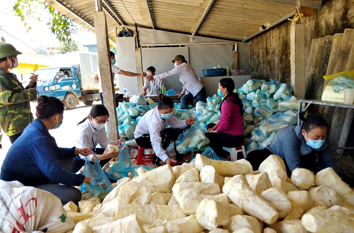 Hội Nông dân huyện Ba Vì hỗ trợ tiêu thụ măng cho các hội viên hội nông dân trên địa bàn