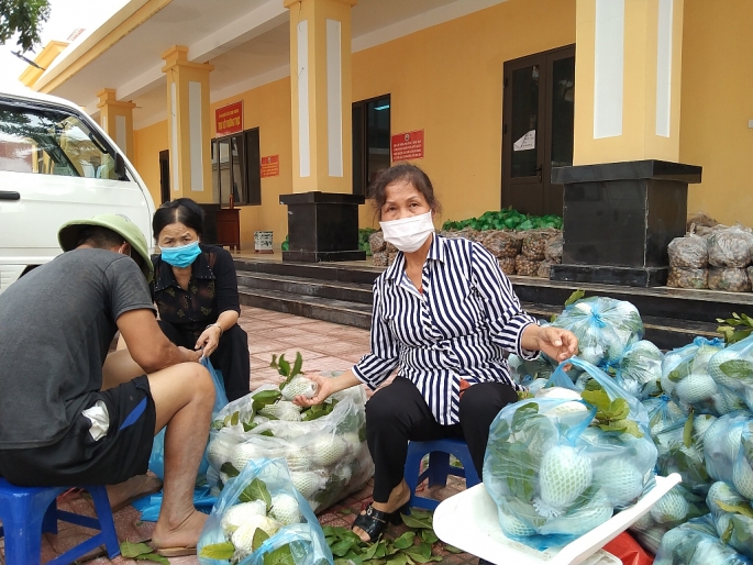 Tổ hỗ trợ tiêu thụ nông sản xã Song Phương đang đóng từng túi ổi 5kg để giao cho khách.