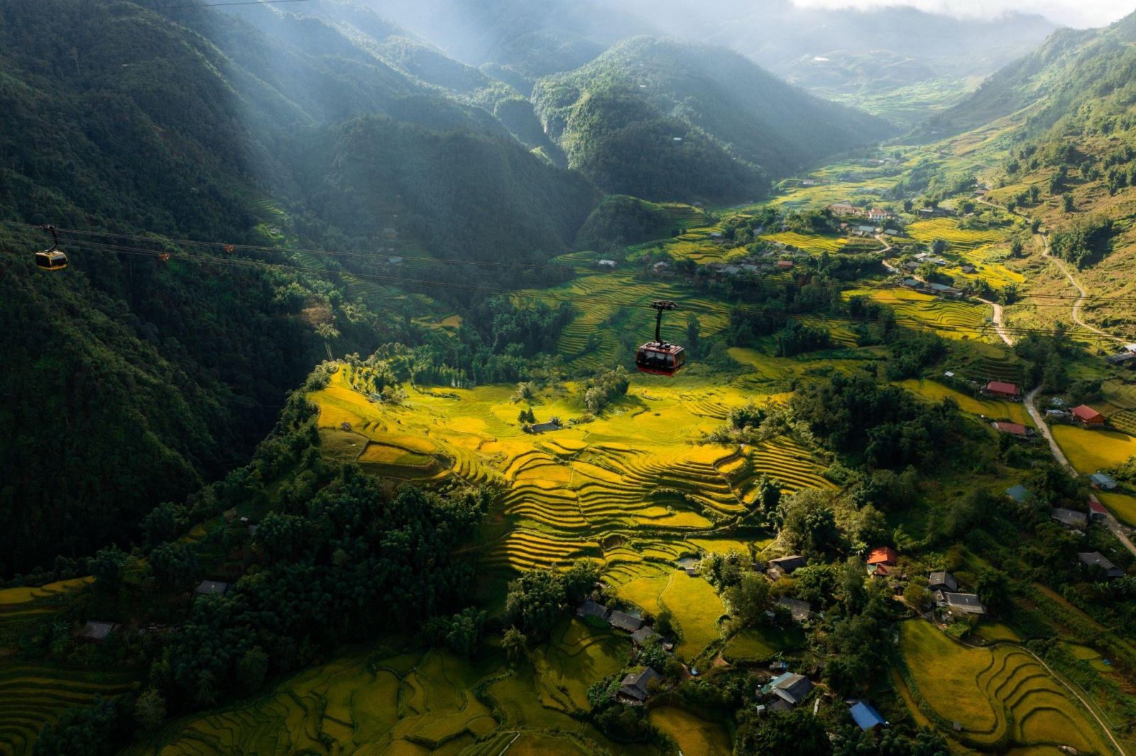 Cáp treo lên đỉnh Fansipan băng qua thung lũng Mường Hoa vào “mùa vàng”
