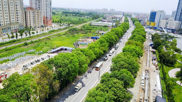 Bảo đảm phát triển cây xanh, giao thông đô thị đạt quy chuẩn, tiêu chuẩn.