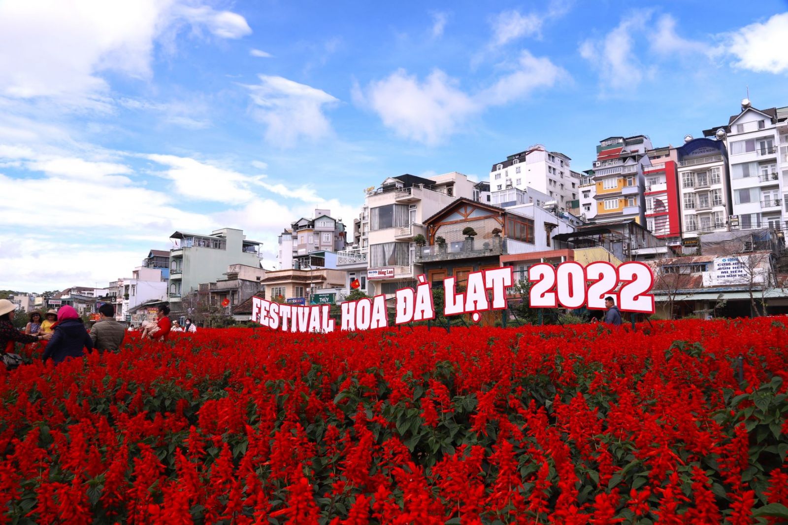 Thời tiết đẹp ủng hộ Đà Lạt dịp Festival năm 2022. Ảnh: Anh Thiệp