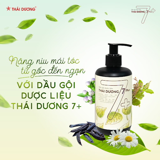 Dầu gội dược liệu Thái Dương 7 plus – giúp làm sạch sâu phục hồi tóc hư tổn được đông đảo người tiêu dùng đón nhận 