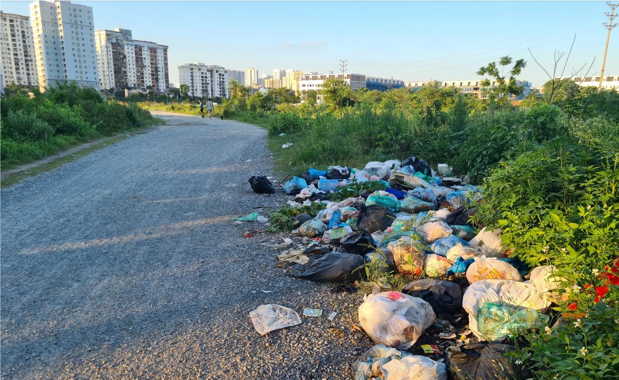 Do đang bỏ hoang, thiếu sự quản lý, nhiều khu vực trong khu đất dự án Khu đô thị Thịnh Liệt đã trở thành điểm tập kết rác tự phát, gây ô nhiễm môi trường. (Ảnh: dantri)