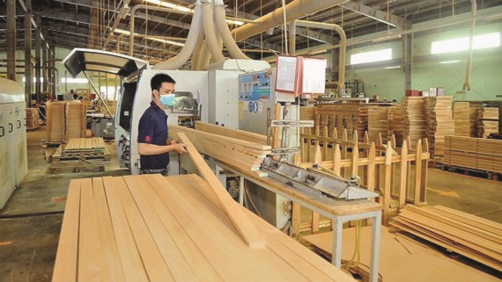 Doanh nghiệp chế biến, sản xuất gỗ gặp khó khăn trong hoàn thuế VAT. 