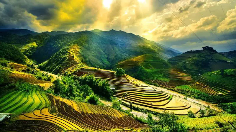 Du lịch Việt Nam phục hồi 18,1%.