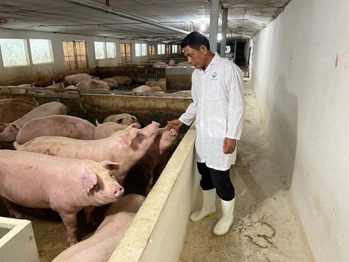 Hiện nay, Hà Nội có 33 cơ sở chăn nuôi gia súc an toàn dịch bệnh. Thành phố có 8 quận (Thanh Xuân, Tây Hồ, Hoàn Kiếm, Ba Đình, Đống Đa, Hai Bà Trưng, Long Biên và Hà Đông) được Cục Thú y cấp Giấy chứng nhận vùng an toàn dịch bệnh dại động vật.