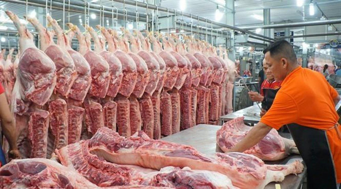 Theo dự báo của Sở Công Thương Hà Nội, tổng nhu cầu lợn hơi phục vụ nhu cầu 3 tháng cận Tết là 57.780 tấn.