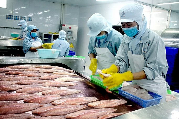 Xuất khẩu cá tra sang thị trường Ai Cập, UAE tăng mạnh