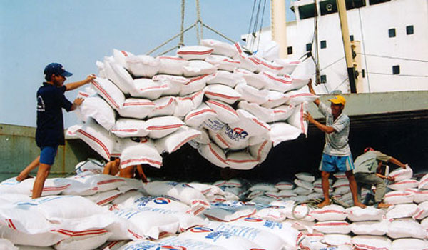 Thị trường xuất khẩu gạo Việt Nam trên đà tăng mạnh