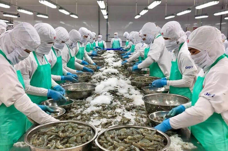 Năm 2022, xuất khẩu thủy sản của Việt Nam sang thị trường Trung Quốc tăng mạnh so với năm 2021