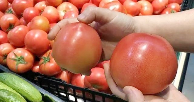 Chỉ trong nửa tháng, giá cà chua tại Hà Nội và nhiều tỉnh, thành phía Bắc đã tăng dựng đứng, tăng từ 25.000 đồng/kg lên 60.000 - 65.000 đồng/kg.
