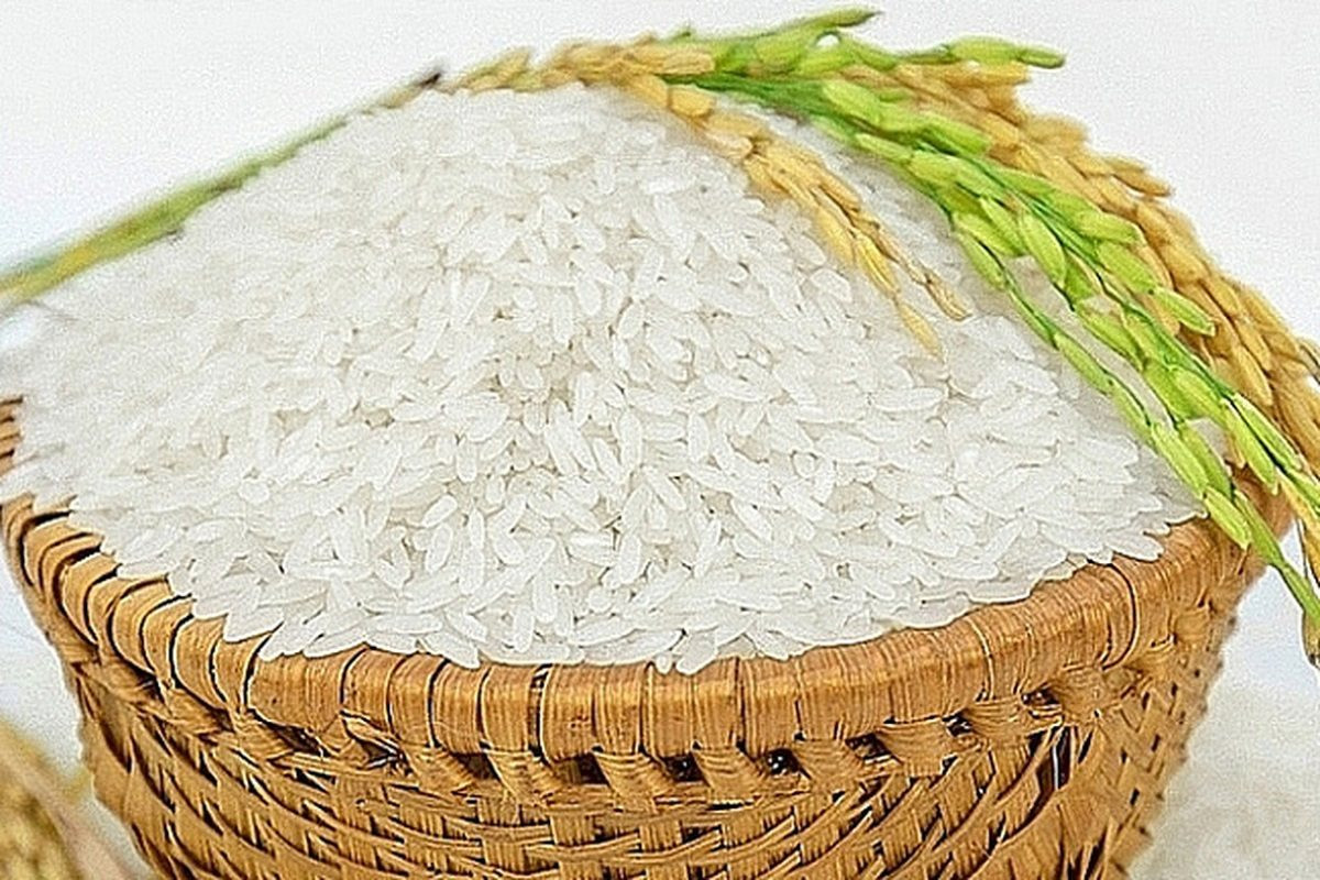 Kim ngạch xuất khẩu gạo tăng 34%