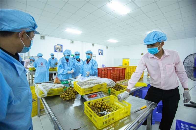 Kim ngạch xuất khẩu của Việt Nam sang Mỹ đạt gần 110 tỷ USD