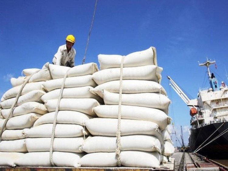 Xuất khẩu gạo sang EU tăng mạnh nhờ EVFTA. Ảnh minh họa
