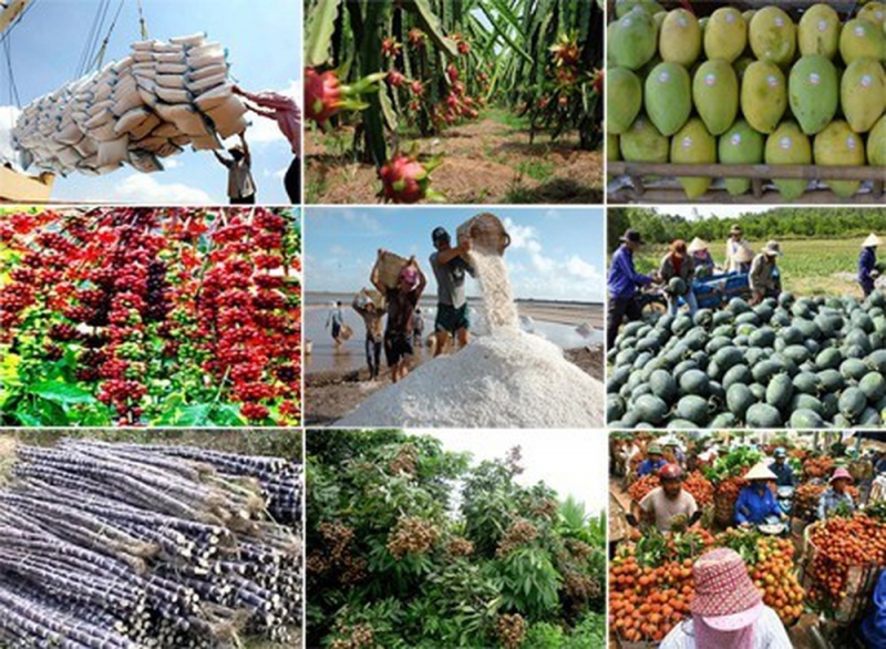 4 tháng đầu năm, xuất khẩu nông sản đạt 17,9 tỷ USD