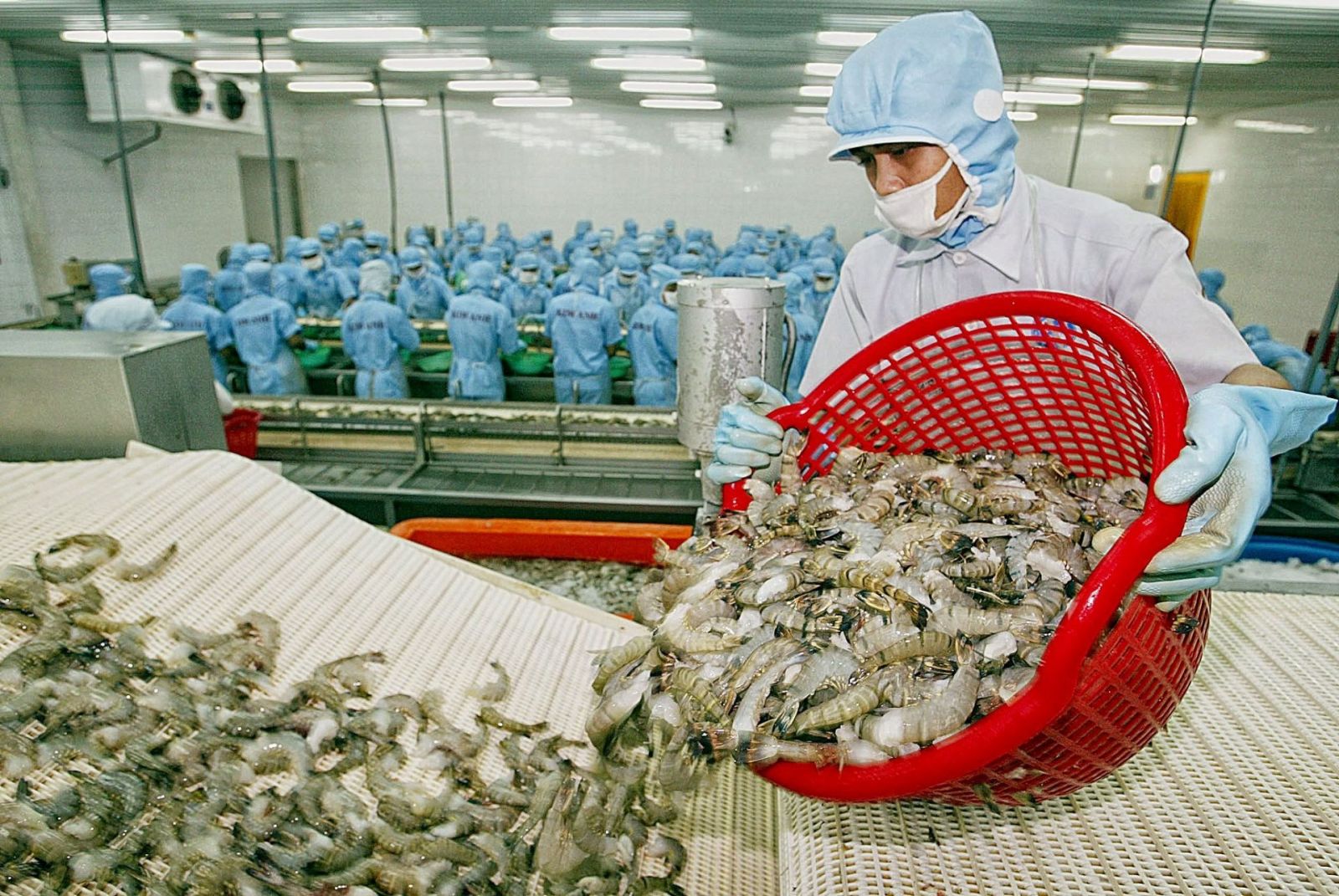 Thị trường RCEP chiếm trên 63% thị phần xuất khẩu thủy sản Việt Nam