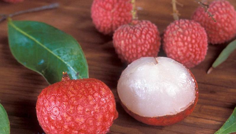Vải thiều - loại trái cây đặc sản nổi tiếng thế giới của Việt Nam đang xuống giá thấp vì dội chợ