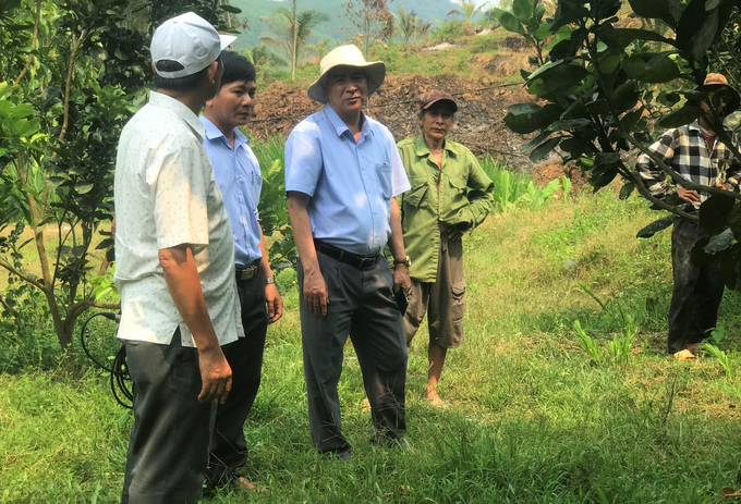 Nông dân Bình Định đang rất quan tâm tới kỹ thuật canh tác hữu cơ trong lĩnh vực trồng trọt. Ảnh: V.Đ.T.