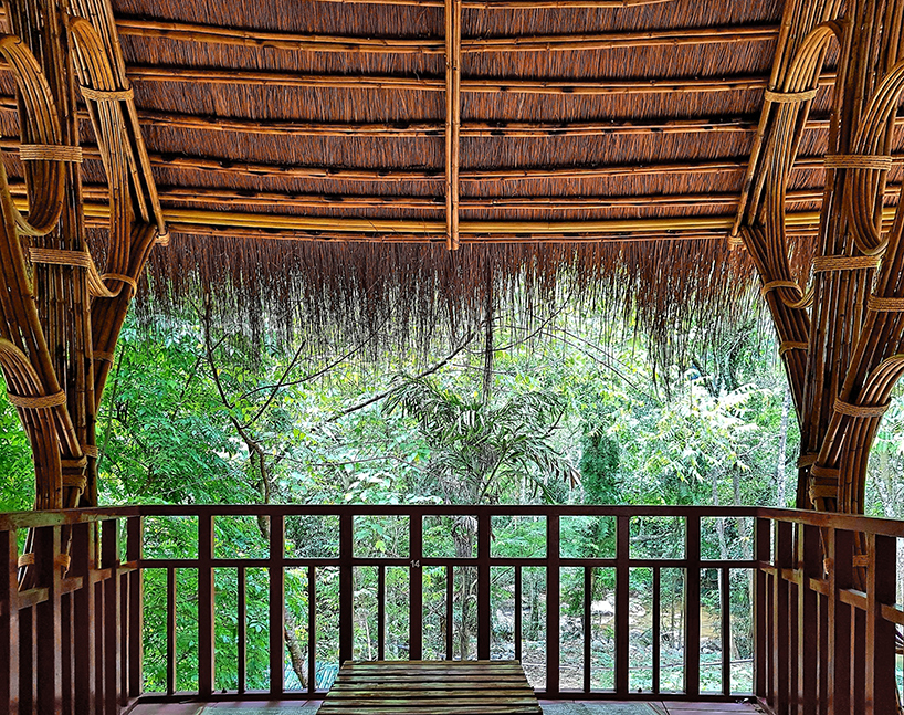 Không gian mở ở hai bên để du khách có thể thưởng thức các cảnh quan của rừng nhiệt đới.
